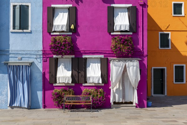 Blue, pink and yellow house facade with flowers, colourful houses, alleys on the island of Burano, Venice, Veneto, Italy, Europe