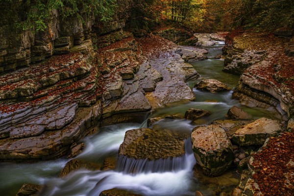 Autumn atmosphere on the course of the Taugl or Tauglbach stream, Tauglgries nature reserve, Tennegau, Bad Vigaun, Austria, Europe