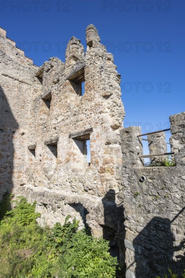 The Altbodman castle ruins on the Bodanrück, Bodman-Ludwigshafen, Constance district, Baden-Württemberg, Germany, Europe