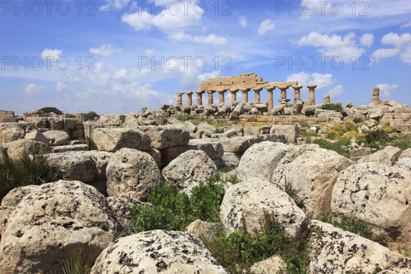 Selinunte, remains of the temples of the acropolis in the archaeological site of Selinunte, Trapani province, Sicily, Italy, Europe