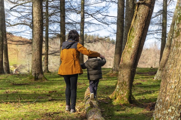 Mother with her son playing in a tree in a forest, very happy on Mount Erlaitz in Irun, Basque Country