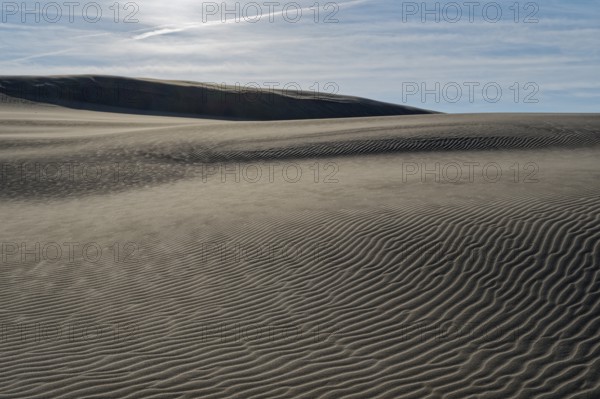 Dune landscape around the Lontz Dune, Wydma Lacka, the largest travelling dune on the Polish Baltic coast. It is located in the Slowinski National Park and is part of the UNESCO Slowinksi Biosphere Reserve. Leba, Pomerania, Poland, Europe