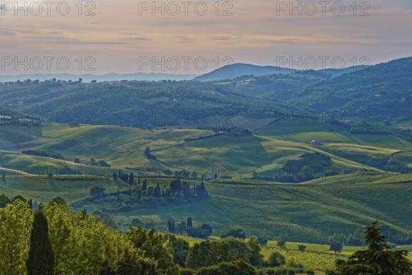 Landscape in the rays of the evening sun near Montepulciano in Tuscany: Montepulciano, Tuscany, Italy, Southern Europe, Europe