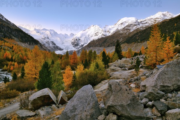 Autumn-coloured valley at dawn, Morteratsch, Engadin, Canton Graubünden, Switzerland, Europe