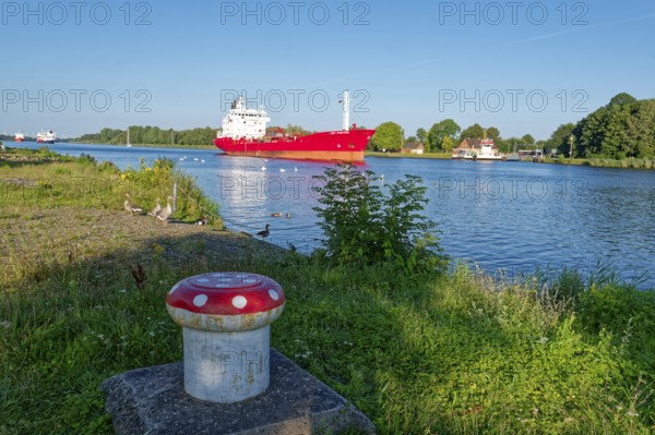 Shipping traffic heading north in the evening on the Kiel Canal and wild geese on the shore. Breiholz, Schleswig-Holstein, Germany, Europe