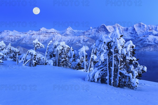 Bernese Alps, full moon, view from the Niederhorn, Bernese Oberland, Switzerland, Europe