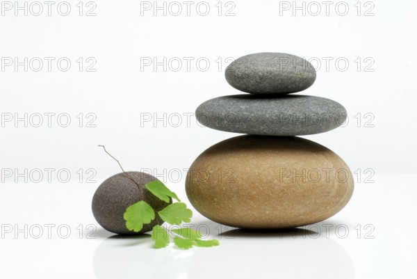 Stacked stones and leaf of lady's hair fern, cutout, object