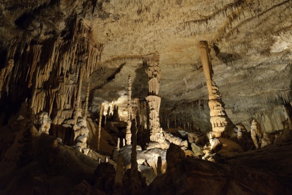 Coves del Drach, Cuevas del Drach, Dragon's Cave, Porto Cristo, Majorca, Balearic Islands, Spain, Europe