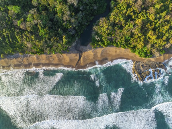 Aerial view, top-down, rainforest, sandy beach and coast with waves, Playa Cocalito, Puntarenas, Costa Rica, Central America