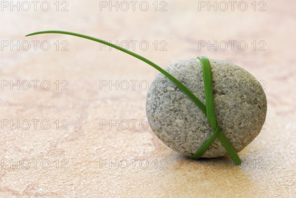Stalk wrapped around stone, blade of grass