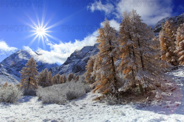 Mt Collon, 3637 m, Arolla Valley, Valais, Switzerland, Europe