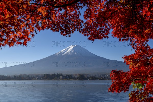 Volcano Fuji or Fudschijama with snow at the summit, 3776 m, with Lake Kawaguchi, framed by red autumn leaves, near Fujikawaguchiko, Yamanashi Prefecture, Honshu Island, Japan, Asia