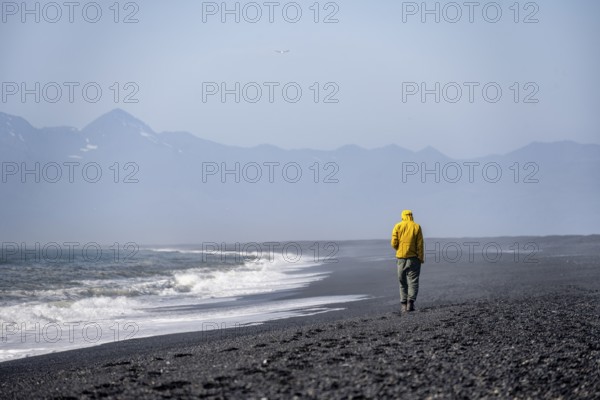 Tourist walking on a long black sand beach, Reynisfjara Beach, South Iceland, Iceland, Europe