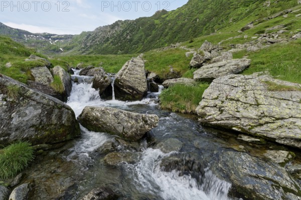 Rocky landscape at the upper course of the Balea stream in the Fagaras Mountains, also Fogaras Mountains, in the mountain group of the Southern Carpathians. Sibiu, Romania, Southeast Europe, Europe