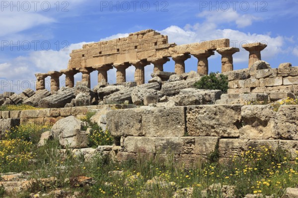 Selinunte, remains of the temples of the acropolis in the archaeological site of Selinunte, Trapani province, Sicily, Italy, Europe