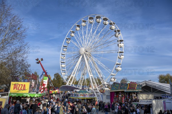Fairground, amusement park at the traditional Schätzelemarkt in Tengen, Hegau, Constance district, Baden-Württemberg, Germany, Europe