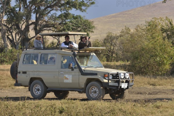 Safari vehicle travelling in the Ngorongoro Crater, Ngorongoro Conservation Area, Tanzania, Africa