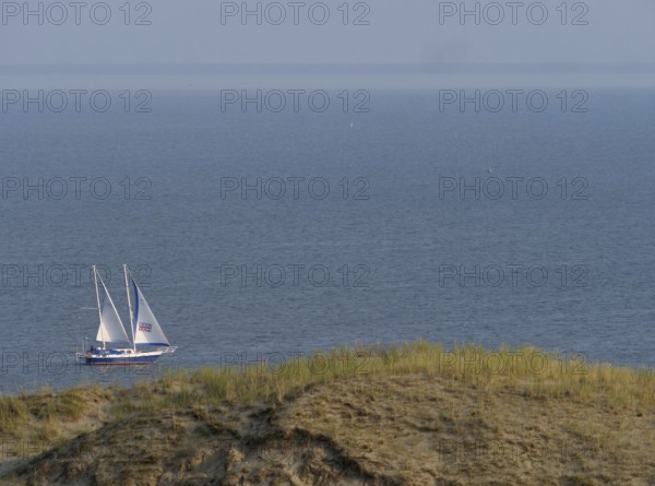 Sailboat in the Curonian Lagoon in front of the Parnidis Dune on the coast of the Curonian Spit, Parnidis Dune, Nida, Curonian Spit, Lithuania, Europe