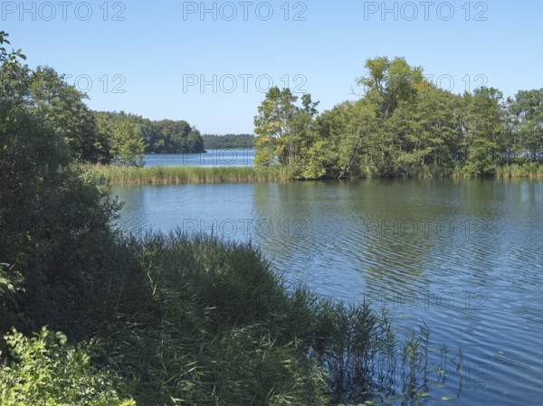 The Schaalsee at the Kampenwerder peninsula in the Schaalsee UNESCO Biosphere Reserve, Stintenburg, Lassahn, Mecklenburg-Western Pomerania, Germany, Europe