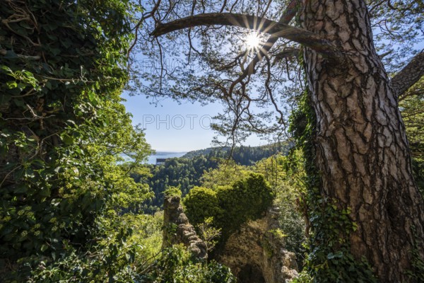 View from the Altbodman castle ruins over the Bodanrück to Lake Constance, Bodman-Ludwigshafen, Constance district, Baden-Württemberg, Germany, Europe