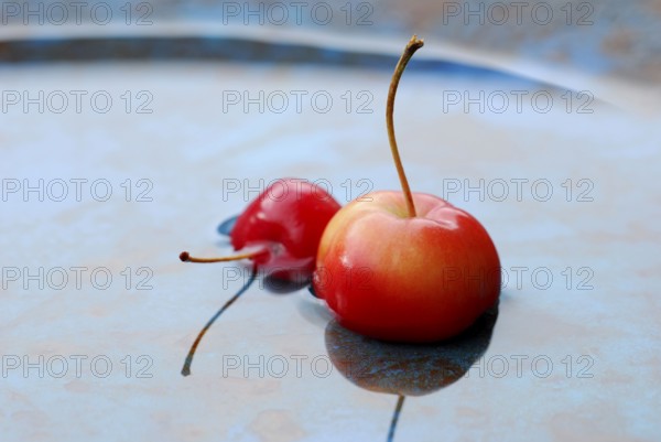 Ornamental apples in water