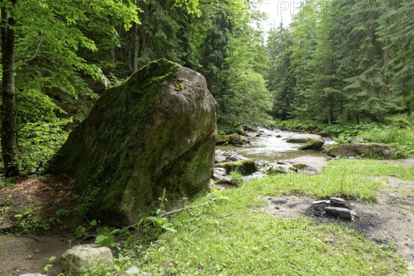 Landscape at the Jiet Bach, a mountain stream in the Fagaras Mountains, also Fogarasch Mountains, in the southern Carpathians. Eisenmarkt County, Romania, Southeast Europe, Europe
