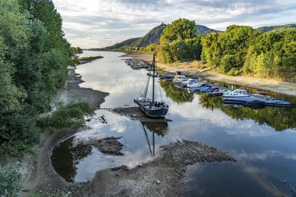 The Rhine at extremely low water, near Bad Honnef Rhöndorf, below the Drachenfels, the historic Rhine ship, Aalschokker Aranka, in the Old Rhine arm, on the island of Grafenwerth, dry banks of the Rhine, North Rhine-Westphalia, Germany, Europe