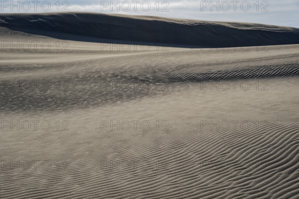 Dune landscape around the Lontz Dune, Wydma Lacka, the largest travelling dune on the Polish Baltic coast. It is located in the Slowinski National Park and is part of the UNESCO Slowinksi Biosphere Reserve. Leba, Pomerania, Poland, Europe