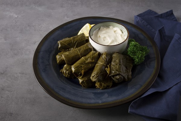 Dolma, cabbage rolls, grape leaves with filling, white sauce, lemon and herbs, rustic, selective focus, no people