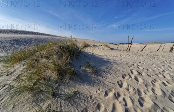 Dune landscape around the Lontz Dune, Wydma Lacka, the largest travelling dune on the Polish Baltic coast. It is located in the Slowinski National Park and is part of the UNESCO Slowinksi Biosphere Reserve. Leba, Pomerania, Poland, Europe