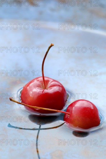 Ornamental apples in water