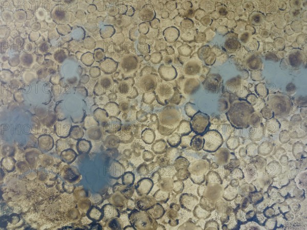 Conspicuous patterns at the bottom of the shallow lagoon Salinas de Cerrillos, aerial view, drone shot, Almería province, Andalusia, Spain, Europe