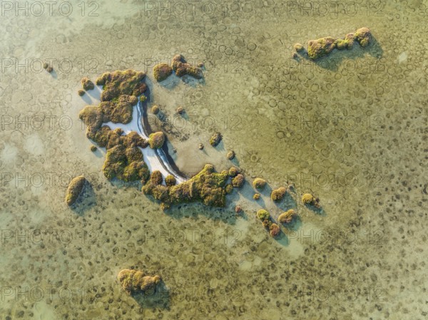 Islands and conspicuous patterns at the shallow lagoon Salinas de Cerrillos, aerial view, drone shot, Almería province, Andalusia, Spain, Europe