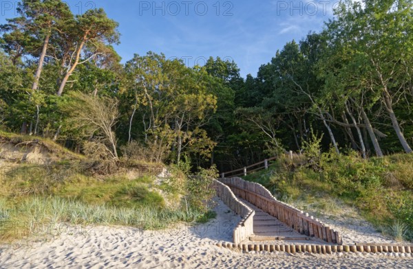 Palisaded path to the sandy beach and the tree-covered coast in the Wolin National Park, also known as Wollin, on the Baltic Sea. Kolczewo, West Pomerania, Poland, Central Europe, Europe