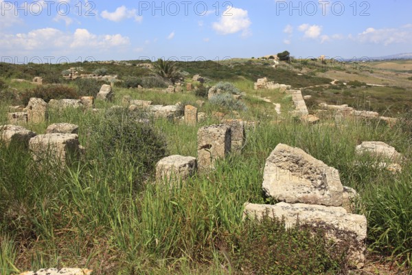 Selinunte, remains of the temples in the archaeological site of Selinunte, Trapani province, Sicily, Italy, Europe