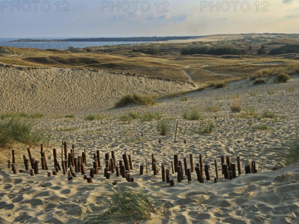 The Parnidis Dune in the Curonian Spit National Park is one of the largest shifting sand dunes in Europe. Fortifications with piles serve to stabilise it. In the background the Curonian Lagoon, Parnidis Dune, Nida, Curonian Spit, Lithuania, Europe