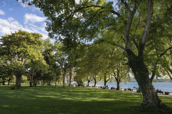 The Mettnau Park with the Istres Promenade on the shore of Lake Constance, Mettnau Peninsula, Radolfzell, Constance County, Baden-Württemberg, Germany, Europe