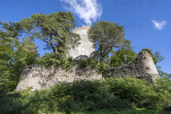 The Altbodman castle ruins on the Bodanrück, Bodman-Ludwigshafen, Constance district, Baden-Württemberg, Germany, Europe