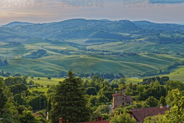 Landscape in the rays of the evening sun near Montepulciano in Tuscany: Montepulciano, Tuscany, Italy, Southern Europe, Europe