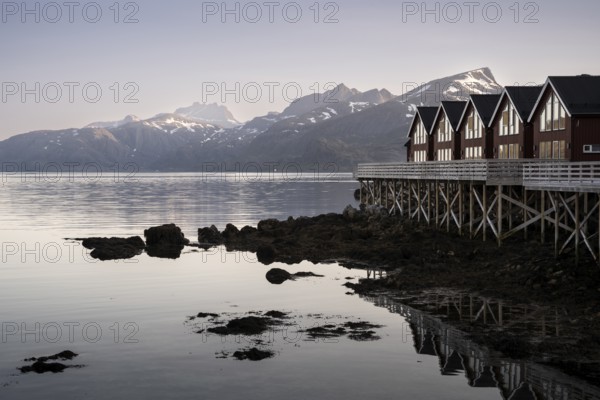 Typical wooden houses (rorbuer) on wooden stilts at Hestnes Bay (Hestnesbukta) . At night at the time of the midnight sun in good weather. Early summer. Vestvagoya, Lofoten, Norway, Europe