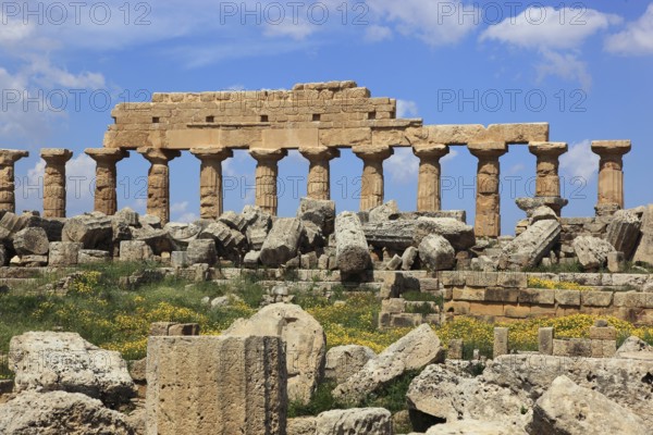Selinunte, remains of the temples of the acropolis in the archaeological site of Selinunte, Trapani province, Sicily, Italy, Europe