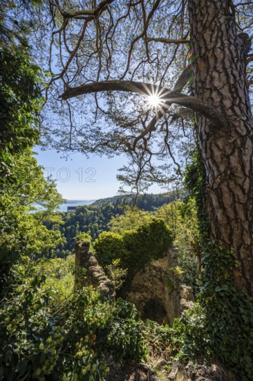 View from the Altbodman castle ruins over the Bodanrück to Lake Constance, Bodman-Ludwigshafen, Constance district, Baden-Württemberg, Germany, Europe