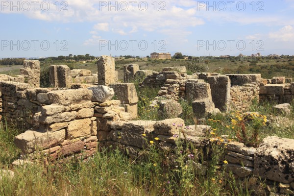 Selinunte, remains of the temples in the archaeological site of Selinunte, Trapani province, Sicily, Italy, Europe