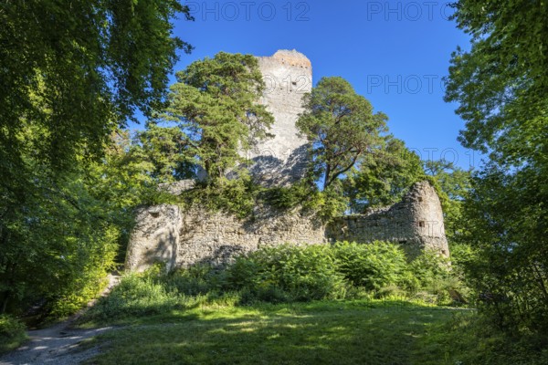 The Altbodman castle ruins on the Bodanrück, Bodman-Ludwigshafen, Constance district, Baden-Württemberg, Germany, Europe