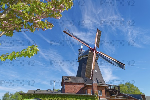 The Riepenburger Mühle, Boreasmühle, is a Dutch windmill dating from 1828. It is the oldest and largest preserved grain windmill in Hamburg and is one of the oldest windmills in Germany. Kirchwerder, Hamburg, Germany, Europe