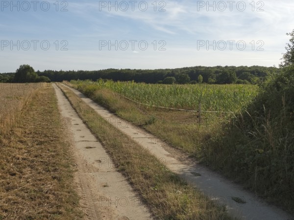 The column trail along the former inner-German border marks the green band between Mecklenburg-Western Pomerania and Schleswig-Holstein in the Schaalsee UNESCO Biosphere Reserve, Boize stream, state border, Boize near Zarrentin, Mecklenburg-Western Pomerania, Germany, Europe