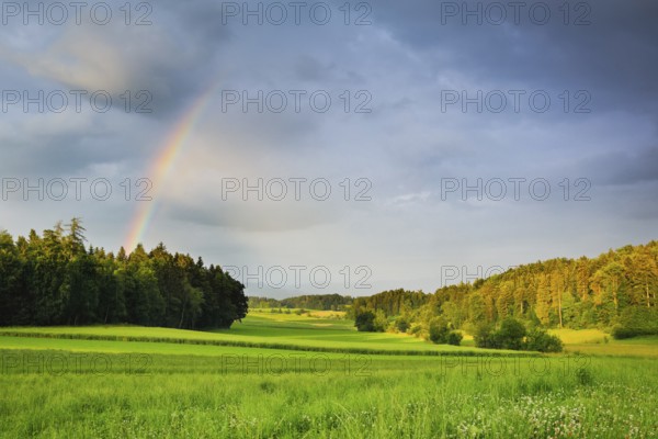 Evening thunderstorm atmosphere with rainbow over lush green mixed forest, in the Zurich Oberland, Zurich, Switzerland, Europe