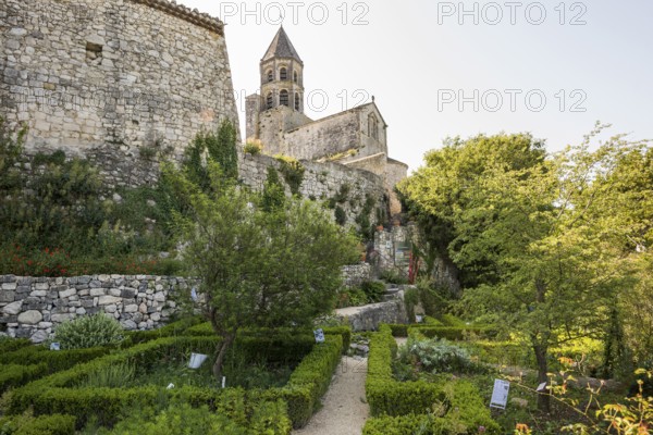 Herb garden, La Garde-Adhémar, Plus beaux villages de France, Département Drôme, Provence, Auvergne-Rhône-Alpes, France, Europe
