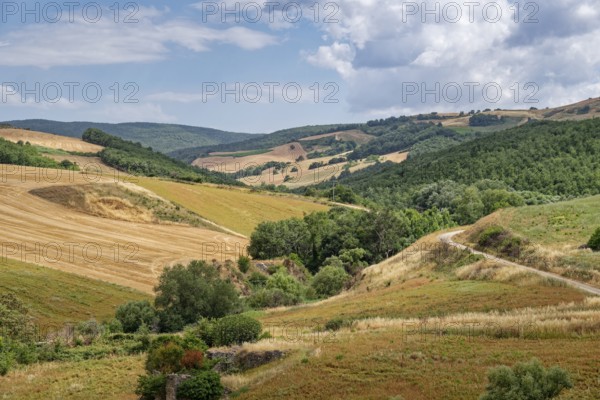 The hilly landscape of Basilicata in the north of the Italian province of Potenza. Ginestra, Basilicata, Southern Italy, Southern Europe