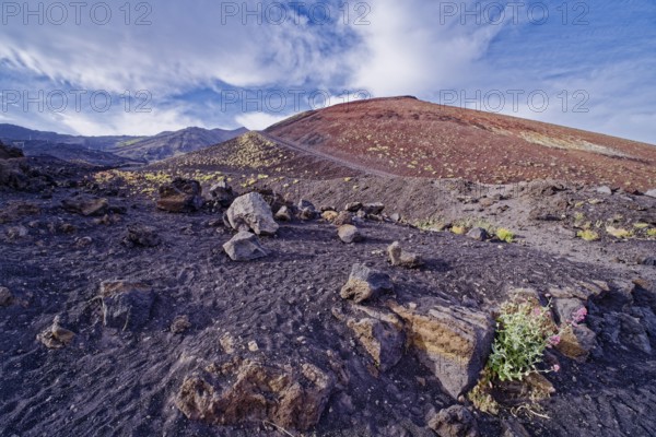 Lava rock and crater landscape around the Crateri Silvestri in the Etna National Park, Parco dell'Etna. The Etna volcano is a UNESCO World Heritage Site. Nicolosi, Sicily, Italy, Southern Europe, Europe